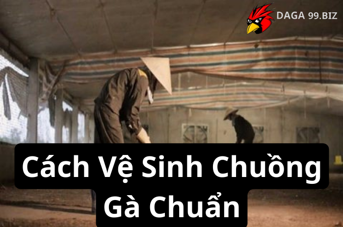 Cách Vệ Sinh Chuồng Gà Chuẩn