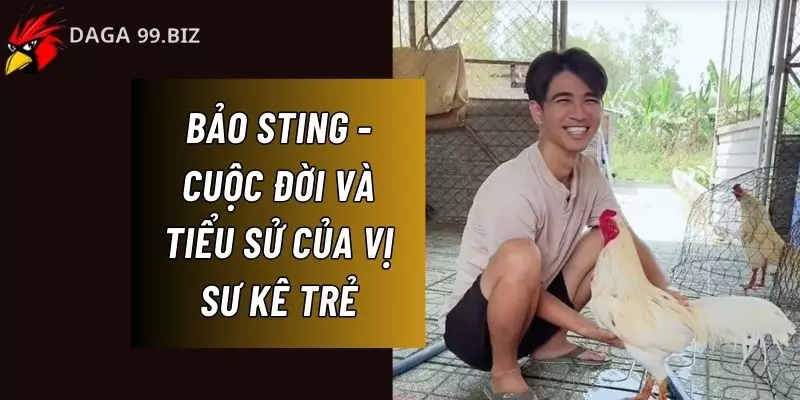 Bảo Sting