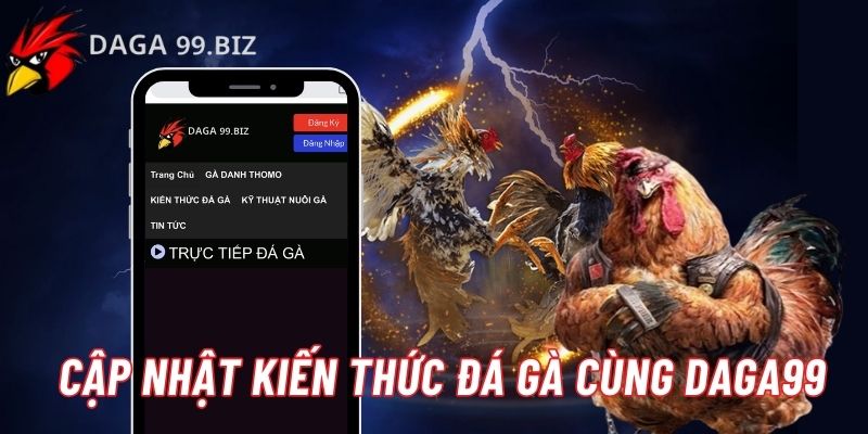 Kiến thức đá gà Daga99