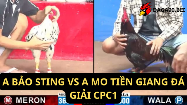 A BẢO STING VS A MO TIỀN GIANG ĐÁ GIẢI CPC1