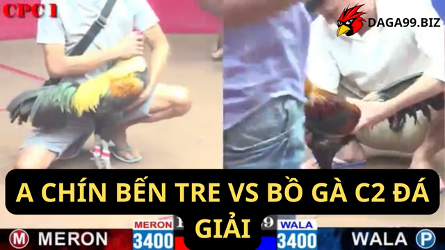 A CHÍN BẾN TRE VS BỒ GÀ C2 ĐÁ GIẢI