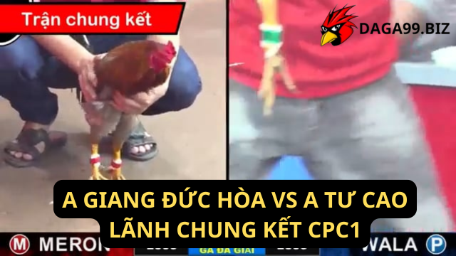 A GIANG ĐỨC HÒA VS A TƯ CAO LÃNH CHUNG KẾT CPC1