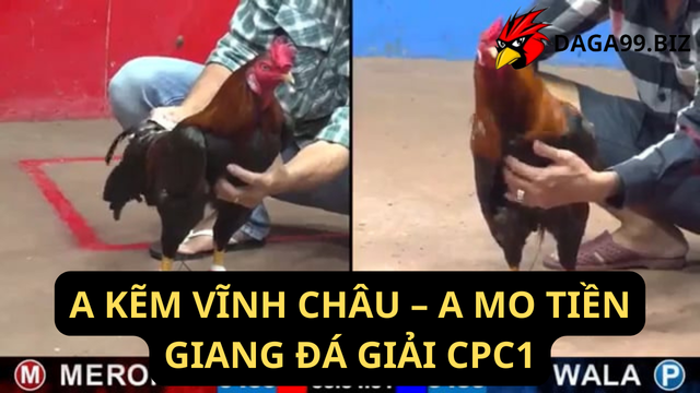 A KẼM VĨNH CHÂU – A MO TIỀN GIANG ĐÁ GIẢI CPC1