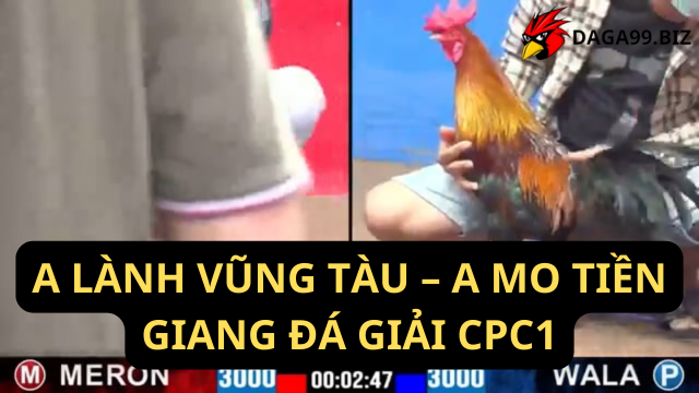 A LÀNH VŨNG TÀU A MO TIỀN GIANG ĐÁ GIẢI CPC1