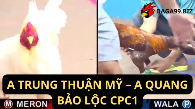 A TRUNG THUẬN MỸ A QUANG BẢO LỘC CPC1