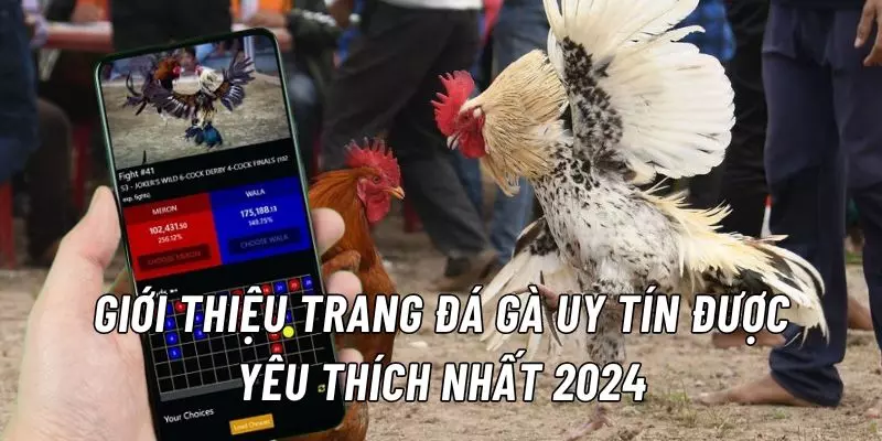 DAGA99 giới thiệu top trang cá cược chọi gà chất lượng hàng đầu 2024