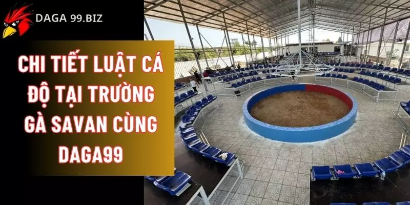 Luật cá độ tại trường gà Savan