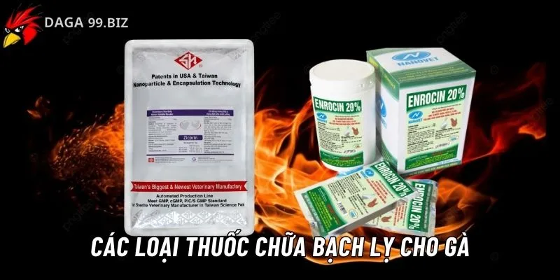 Bệnh bạch lỵ ở gà